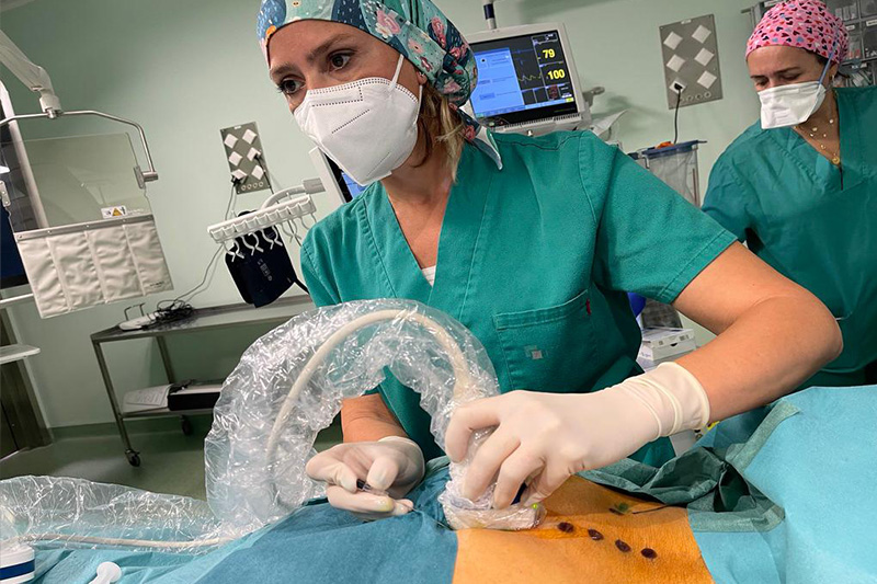 Procedimiento de infiltración ecoguiada